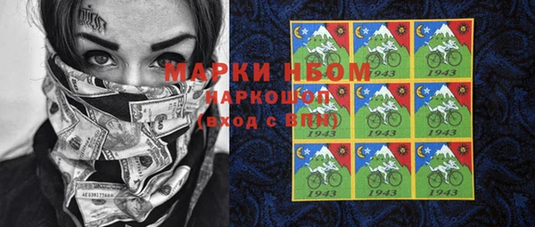шишки Аркадак