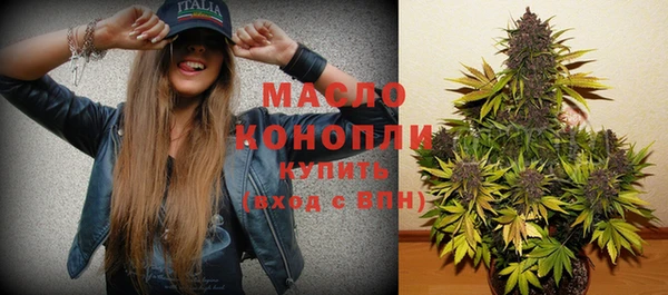 шишки Аркадак
