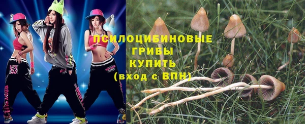шишки Аркадак