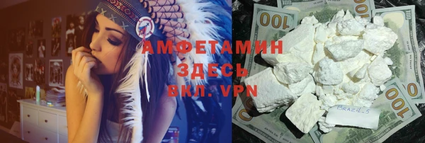 шишки Аркадак