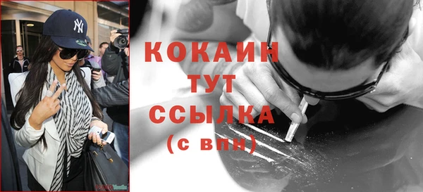 шишки Аркадак