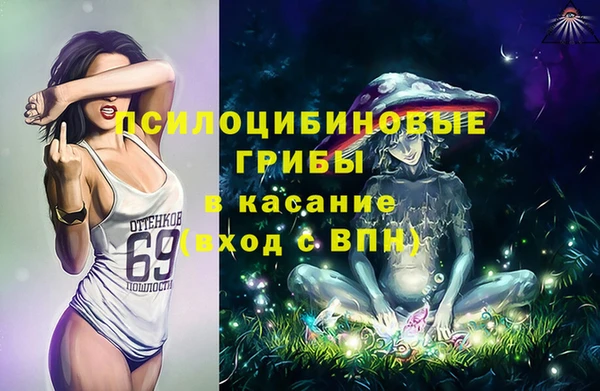 шишки Аркадак