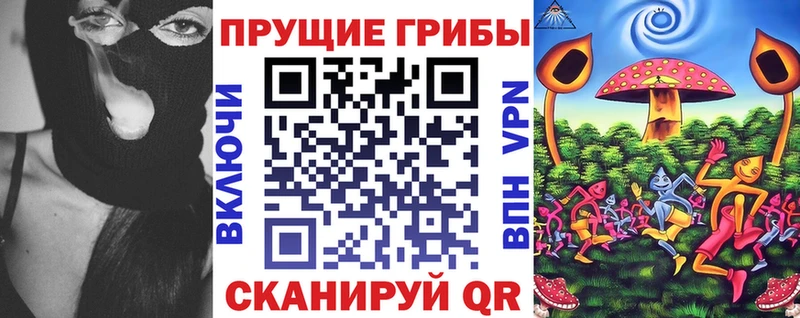 как найти закладки  Фокино  мега вход  Псилоцибиновые грибы Psilocybine cubensis 