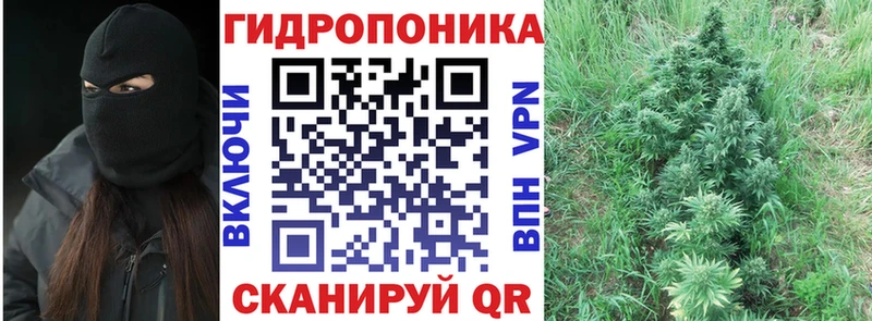 Канабис THC 21%  наркотики  Фокино 